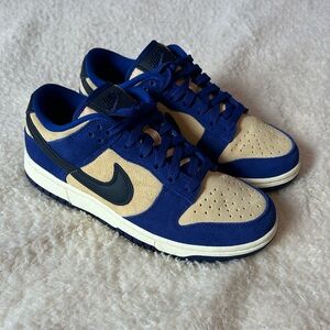 Nike Dunk LX Low Blue Suede